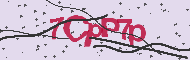 Captcha認証コード