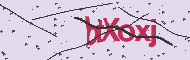 Captcha認証コード