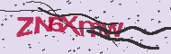 Captcha認証コード